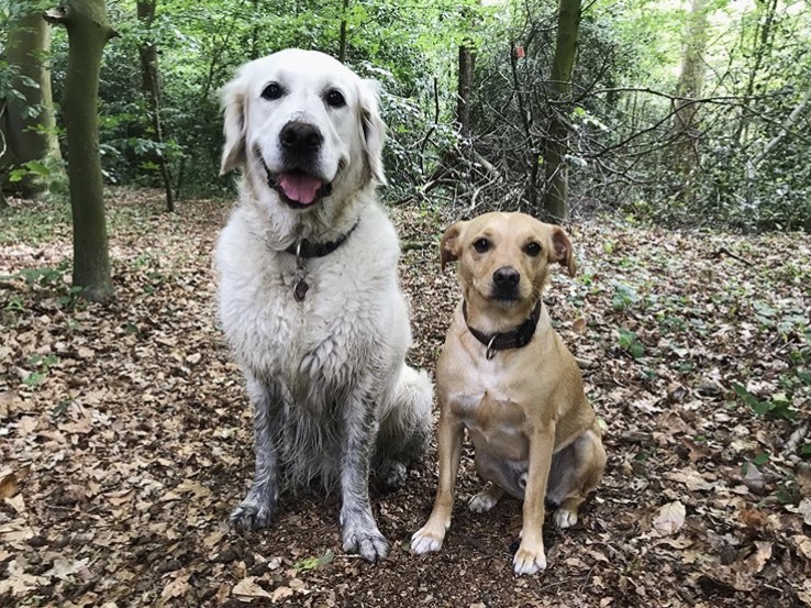De natuur - 10 redenen om vaker naar buiten te gaan