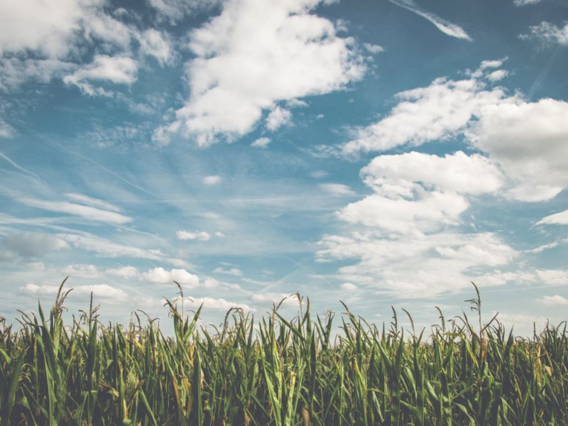 Ademhalingsoefening ochtend