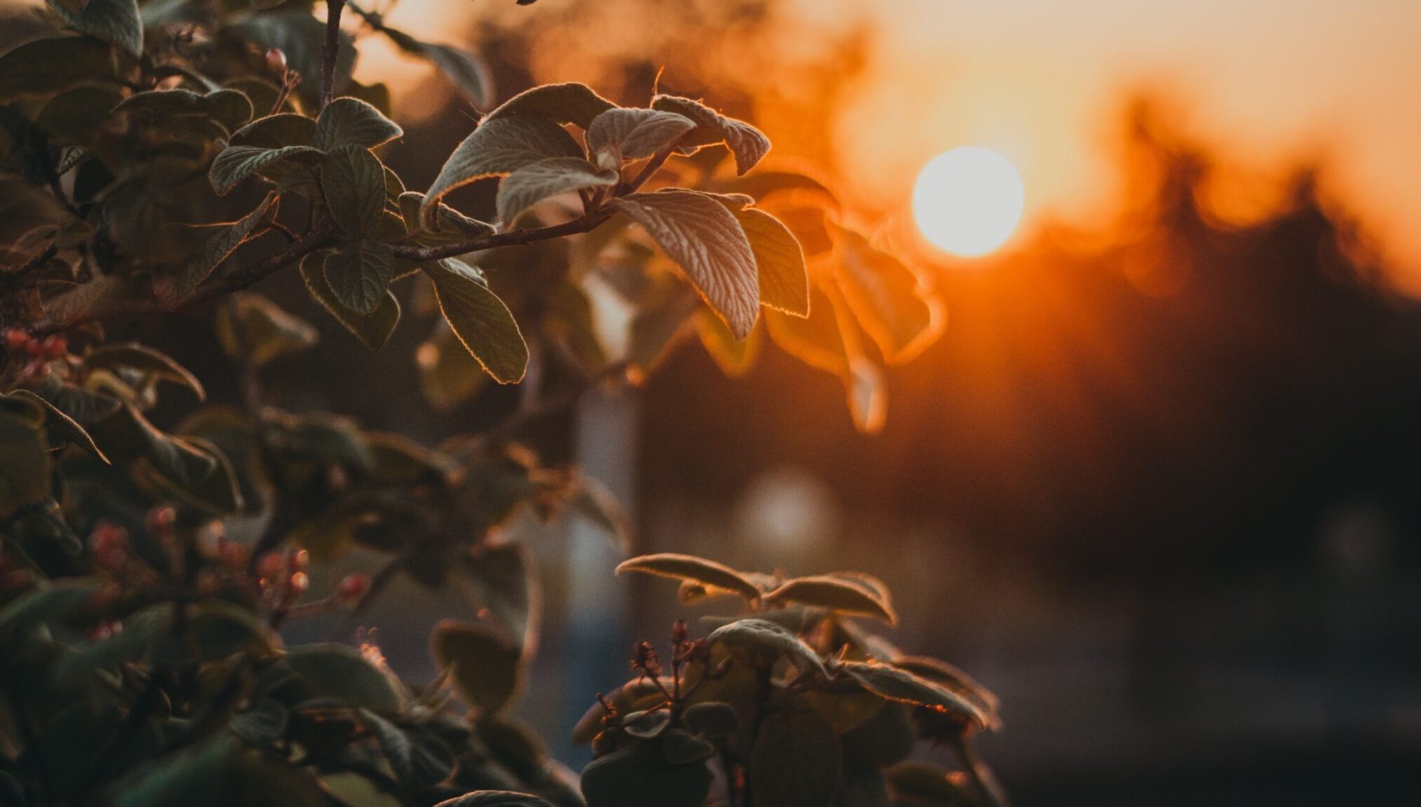 ‘We are in this together.’